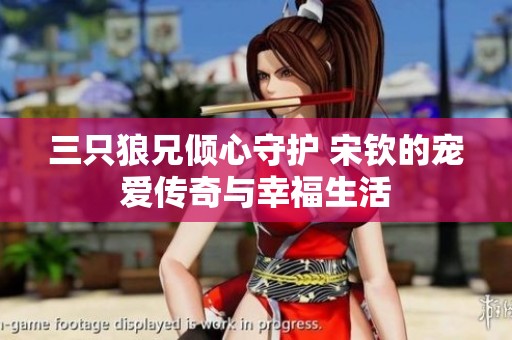 三只狼兄倾心守护 宋钦的宠爱传奇与幸福生活