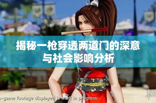 揭秘一枪穿透两道门的深意与社会影响分析