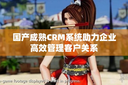 国产成熟CRM系统助力企业高效管理客户关系