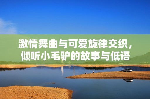 激情舞曲与可爱旋律交织，倾听小毛驴的故事与低语