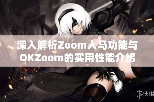 深入解析Zoom人马功能与OKZoom的实用性能介绍