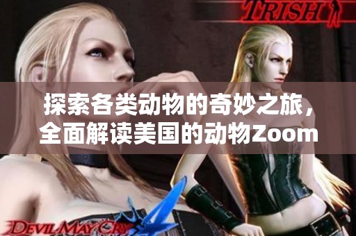 探索各类动物的奇妙之旅，全面解读美国的动物Zoom活动