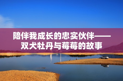 陪伴我成长的忠实伙伴——双犬牡丹与莓莓的故事