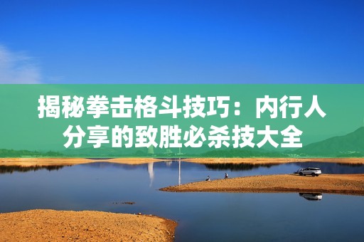 揭秘拳击格斗技巧：内行人分享的致胜必杀技大全