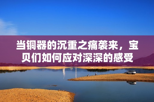 当铜器的沉重之痛袭来，宝贝们如何应对深深的感受