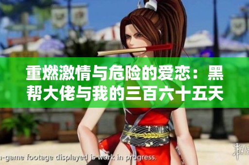 重燃激情与危险的爱恋：黑帮大佬与我的三百六十五天