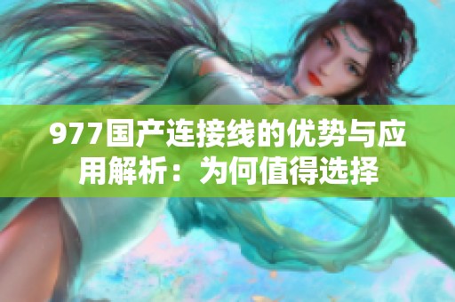 977国产连接线的优势与应用解析：为何值得选择