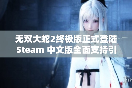 无双大蛇2终极版正式登陆Steam 中文版全面支持引发热潮