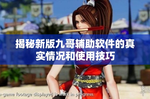 揭秘新版九哥辅助软件的真实情况和使用技巧