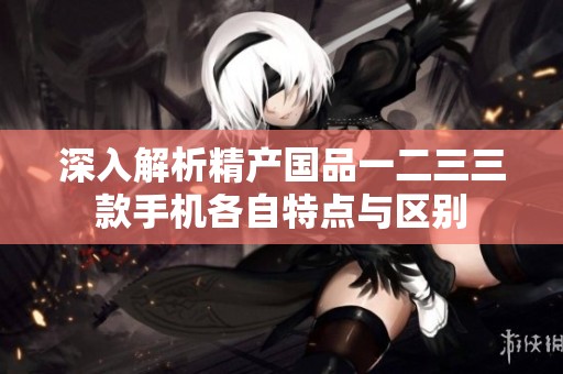 深入解析精产国品一二三三款手机各自特点与区别