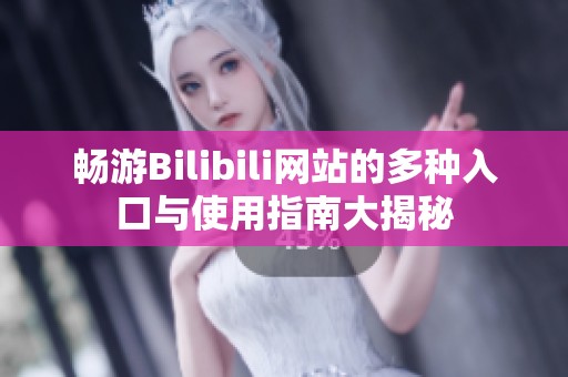 畅游Bilibili网站的多种入口与使用指南大揭秘