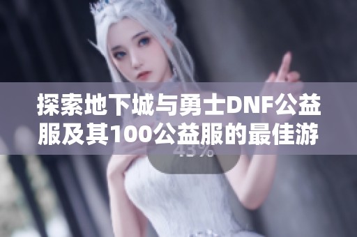 探索地下城与勇士DNF公益服及其100公益服的最佳游戏攻略与技巧