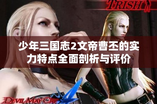 少年三国志2文帝曹丕的实力特点全面剖析与评价