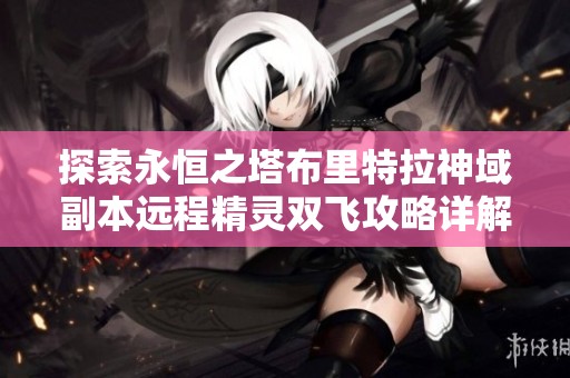 探索永恒之塔布里特拉神域副本远程精灵双飞攻略详解