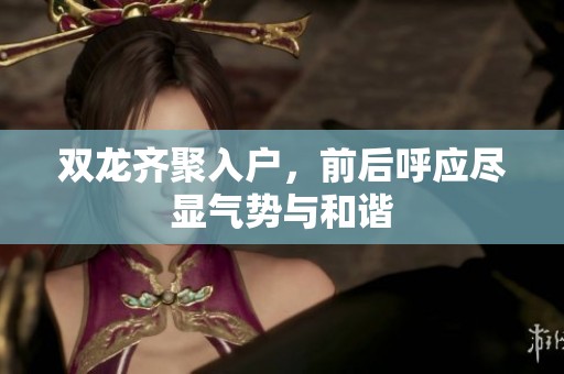 双龙齐聚入户，前后呼应尽显气势与和谐