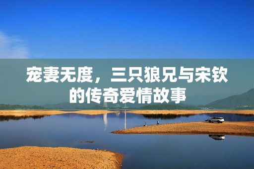 宠妻无度，三只狼兄与宋钦的传奇爱情故事