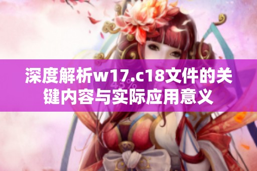 深度解析w17.c18文件的关键内容与实际应用意义