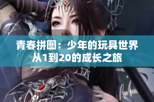 青春拼图：少年的玩具世界从1到20的成长之旅