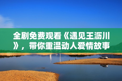 全剧免费观看《遇见王沥川》，带你重温动人爱情故事