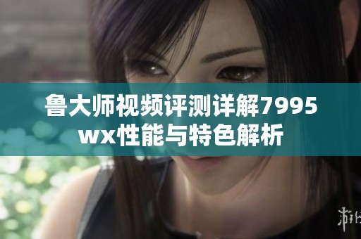 鲁大师视频评测详解7995wx性能与特色解析