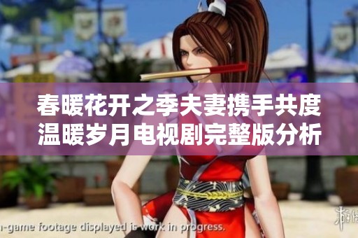 春暖花开之季夫妻携手共度温暖岁月电视剧完整版分析