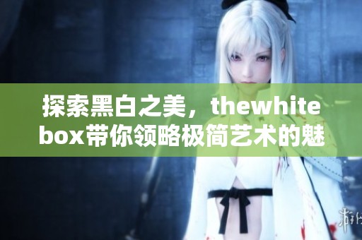 探索黑白之美，thewhitebox带你领略极简艺术的魅力
