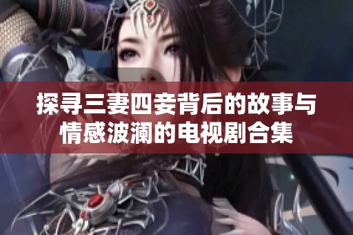 探寻三妻四妾背后的故事与情感波澜的电视剧合集