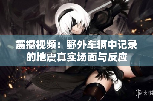 震撼视频：野外车辆中记录的地震真实场面与反应