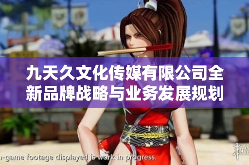 九天久文化传媒有限公司全新品牌战略与业务发展规划