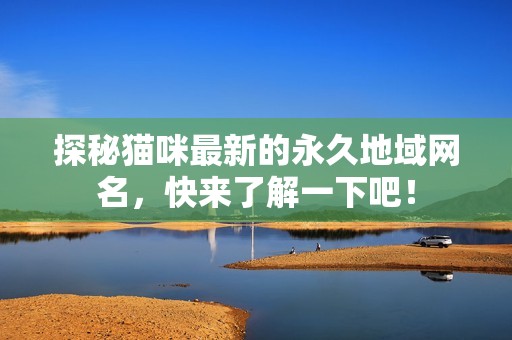 探秘猫咪最新的永久地域网名，快来了解一下吧！