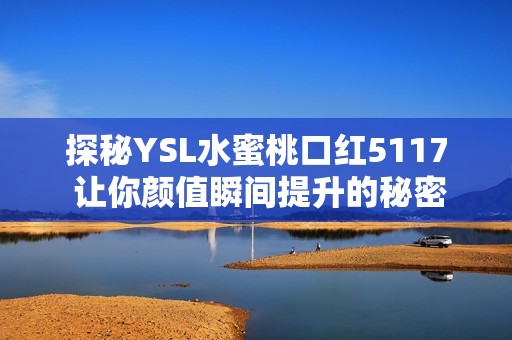 探秘YSL水蜜桃口红5117 让你颜值瞬间提升的秘密武器