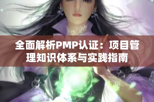 全面解析PMP认证：项目管理知识体系与实践指南