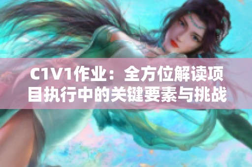 C1V1作业：全方位解读项目执行中的关键要素与挑战