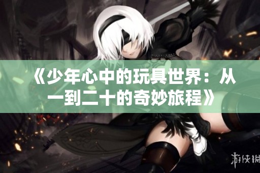 《少年心中的玩具世界：从一到二十的奇妙旅程》