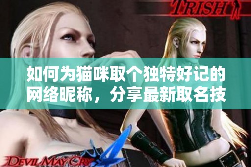 如何为猫咪取个独特好记的网络昵称，分享最新取名技巧