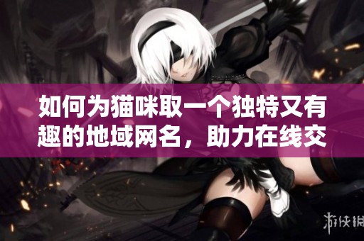 如何为猫咪取一个独特又有趣的地域网名，助力在线交流