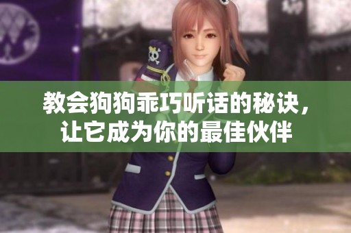 教会狗狗乖巧听话的秘诀，让它成为你的最佳伙伴