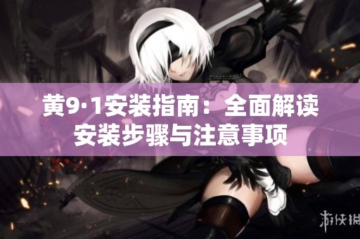 黄9·1安装指南：全面解读安装步骤与注意事项
