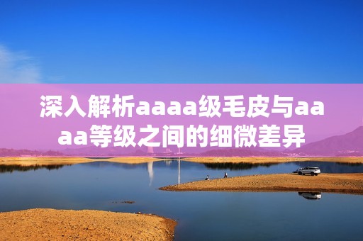 深入解析aaaa级毛皮与aaaa等级之间的细微差异