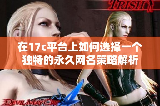 在17c平台上如何选择一个独特的永久网名策略解析