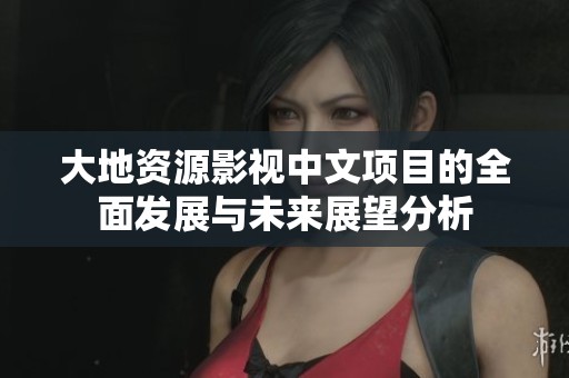 大地资源影视中文项目的全面发展与未来展望分析
