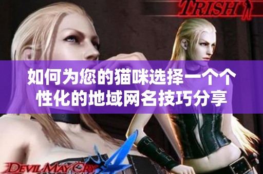 如何为您的猫咪选择一个个性化的地域网名技巧分享