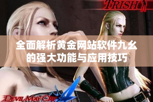 全面解析黄金网站软件九幺的强大功能与应用技巧
