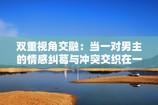 双重视角交融：当一对男主的情感纠葛与冲突交织在一起