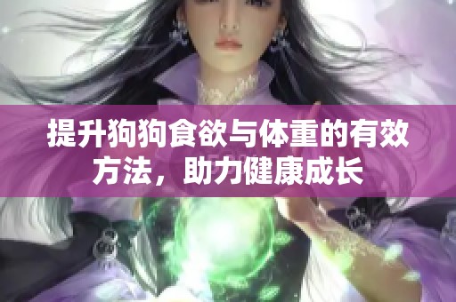 提升狗狗食欲与体重的有效方法，助力健康成长
