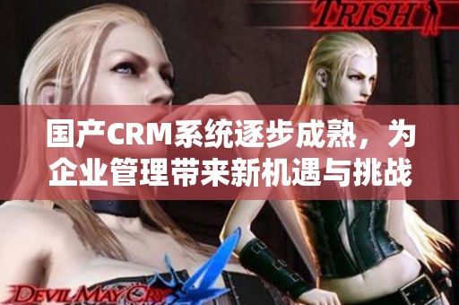 国产CRM系统逐步成熟，为企业管理带来新机遇与挑战